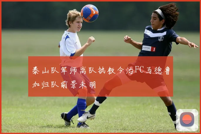 泰山队军师离队执教今治FC马德鲁加归队前景未明