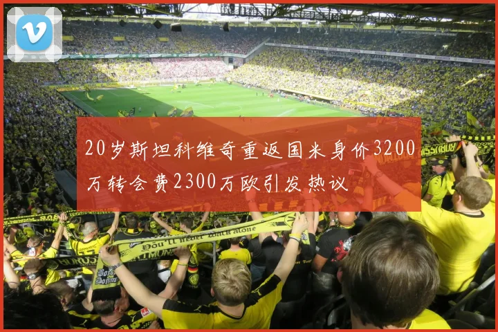 20岁斯坦科维奇重返国米身价3200万转会费2300万欧引发热议