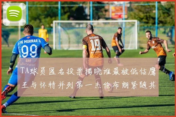 TA球员匿名投票揭晓谁最被低估鹰王与怀特并列第一杰伦布朗紧随其后